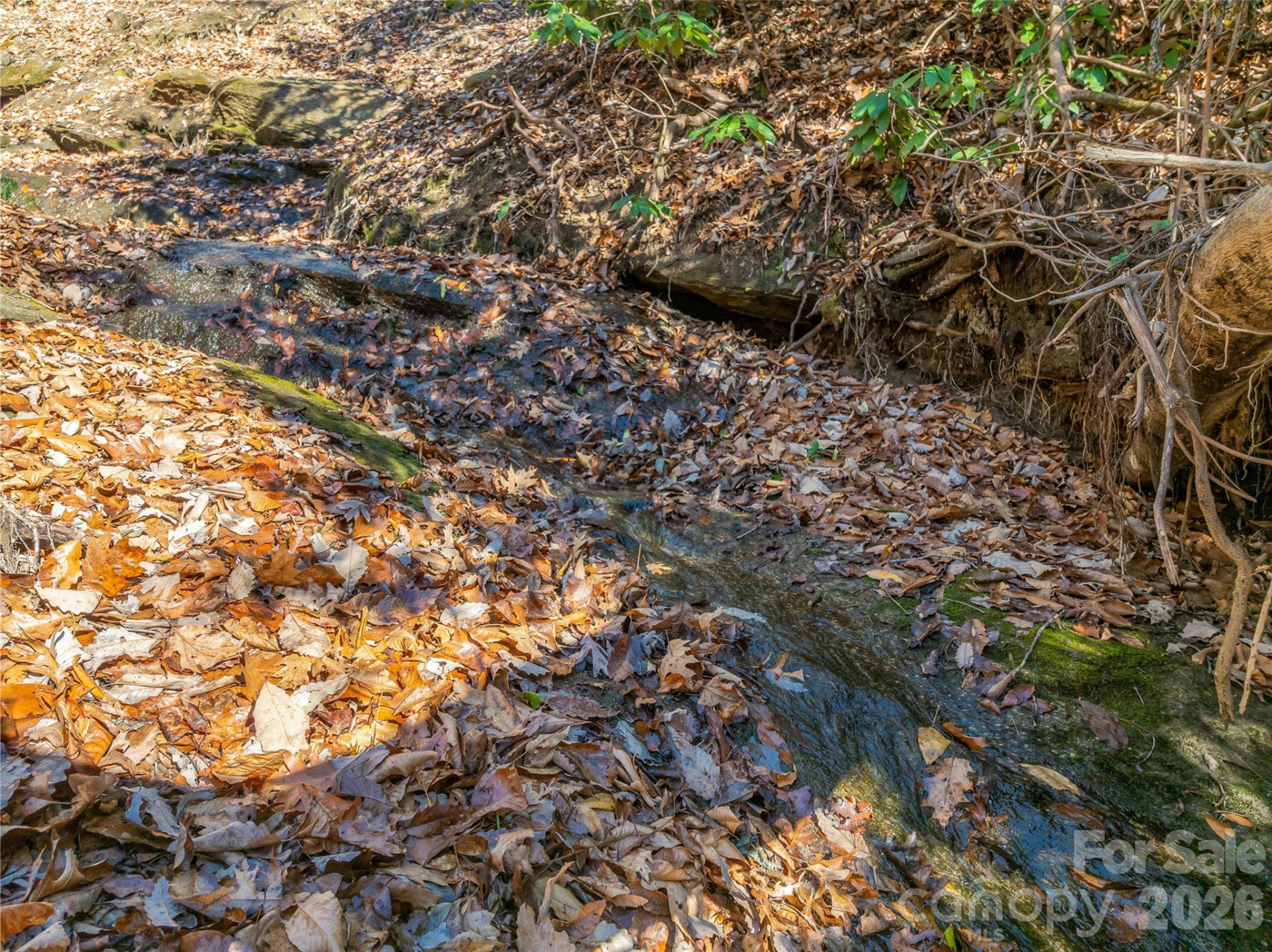 9999 Coy-Evie Lane - Photo 8