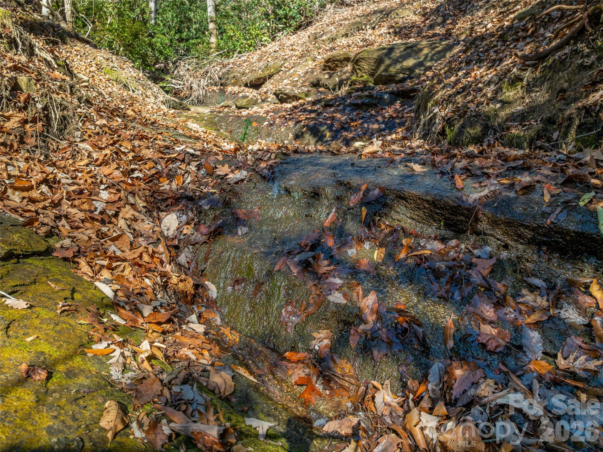 9999 Coy-Evie Lane - Photo 9