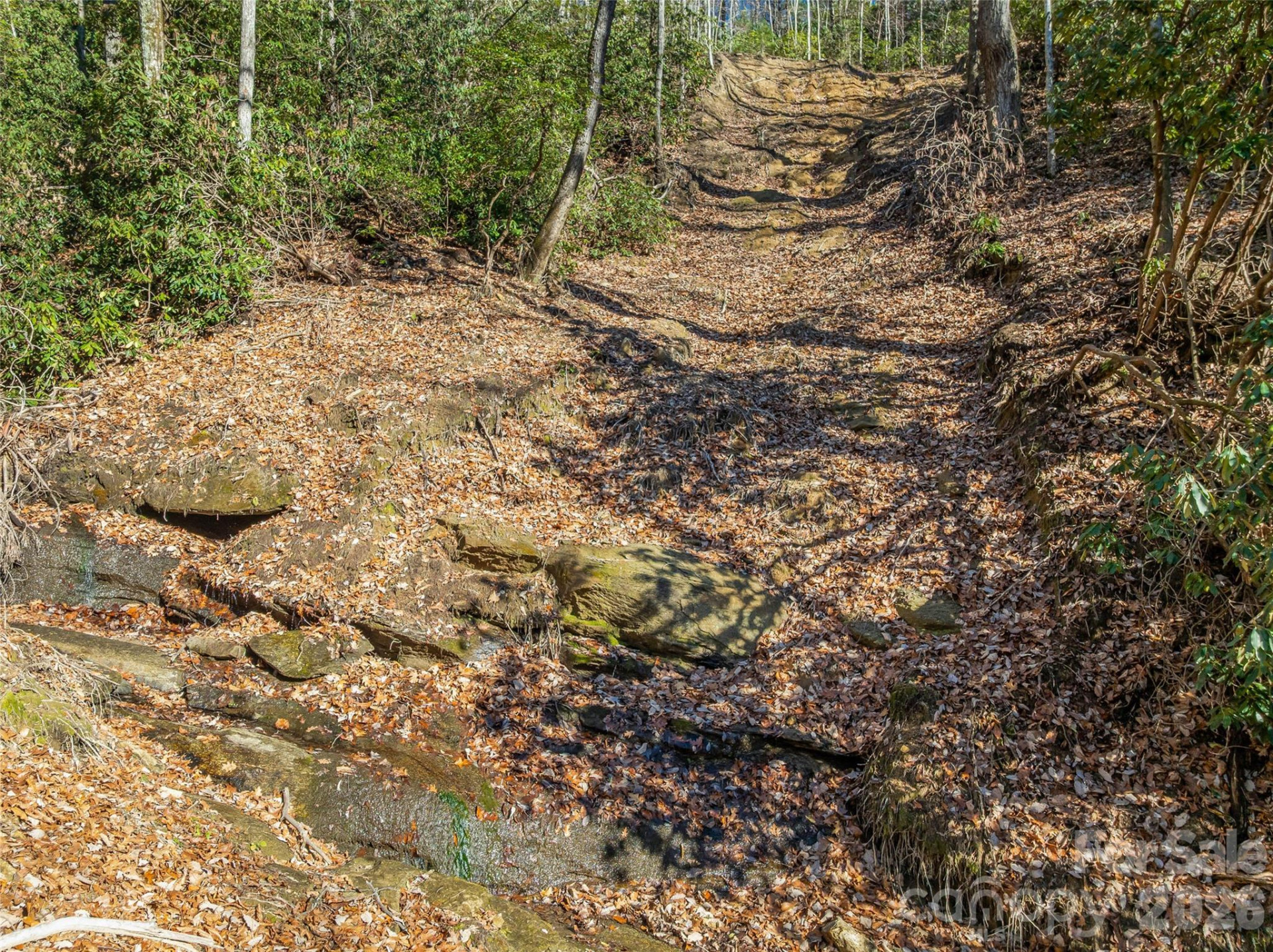 9999 Coy-Evie Lane - Photo 10