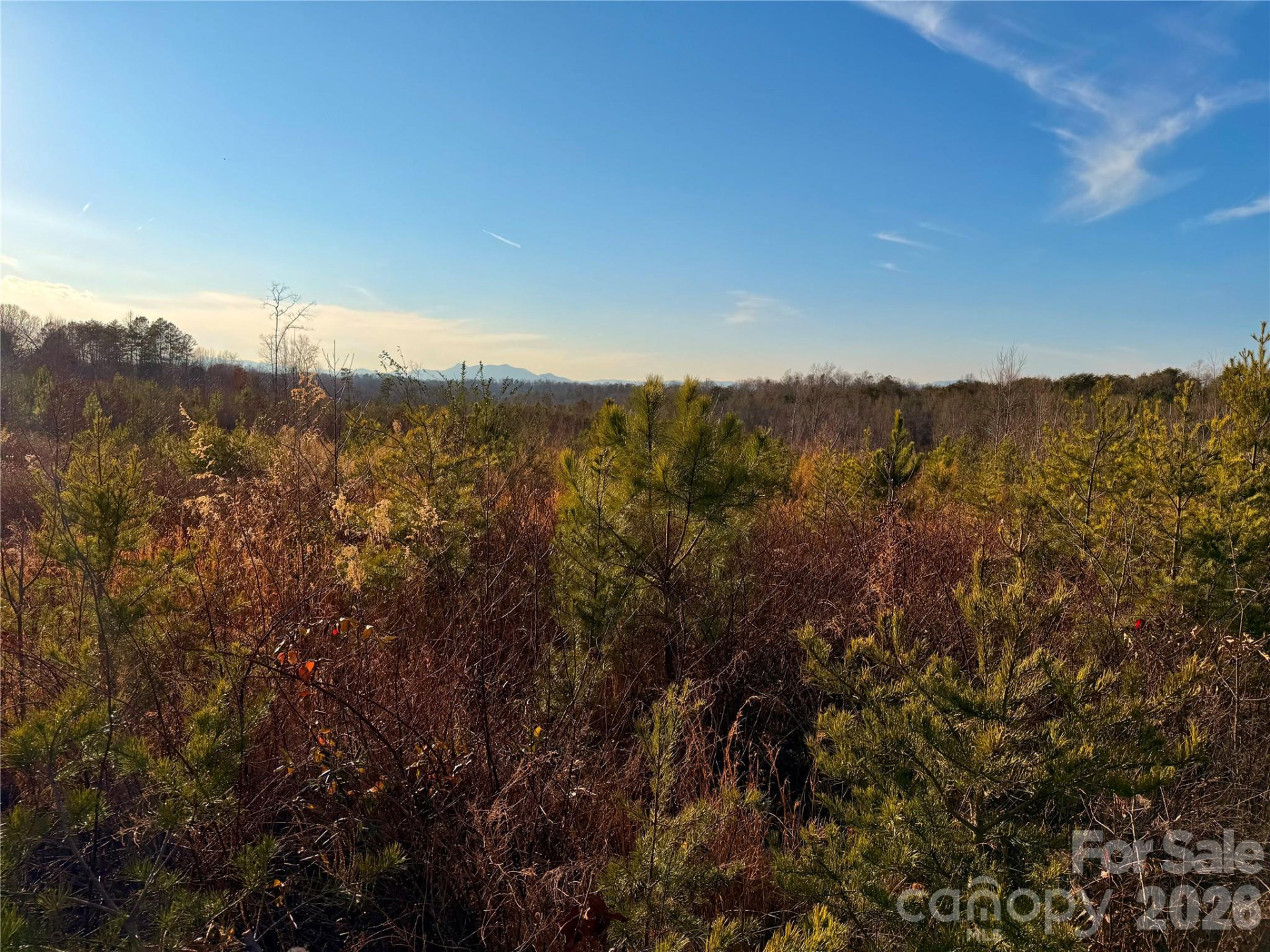 0 Brady Hampton Drive - Photo 2