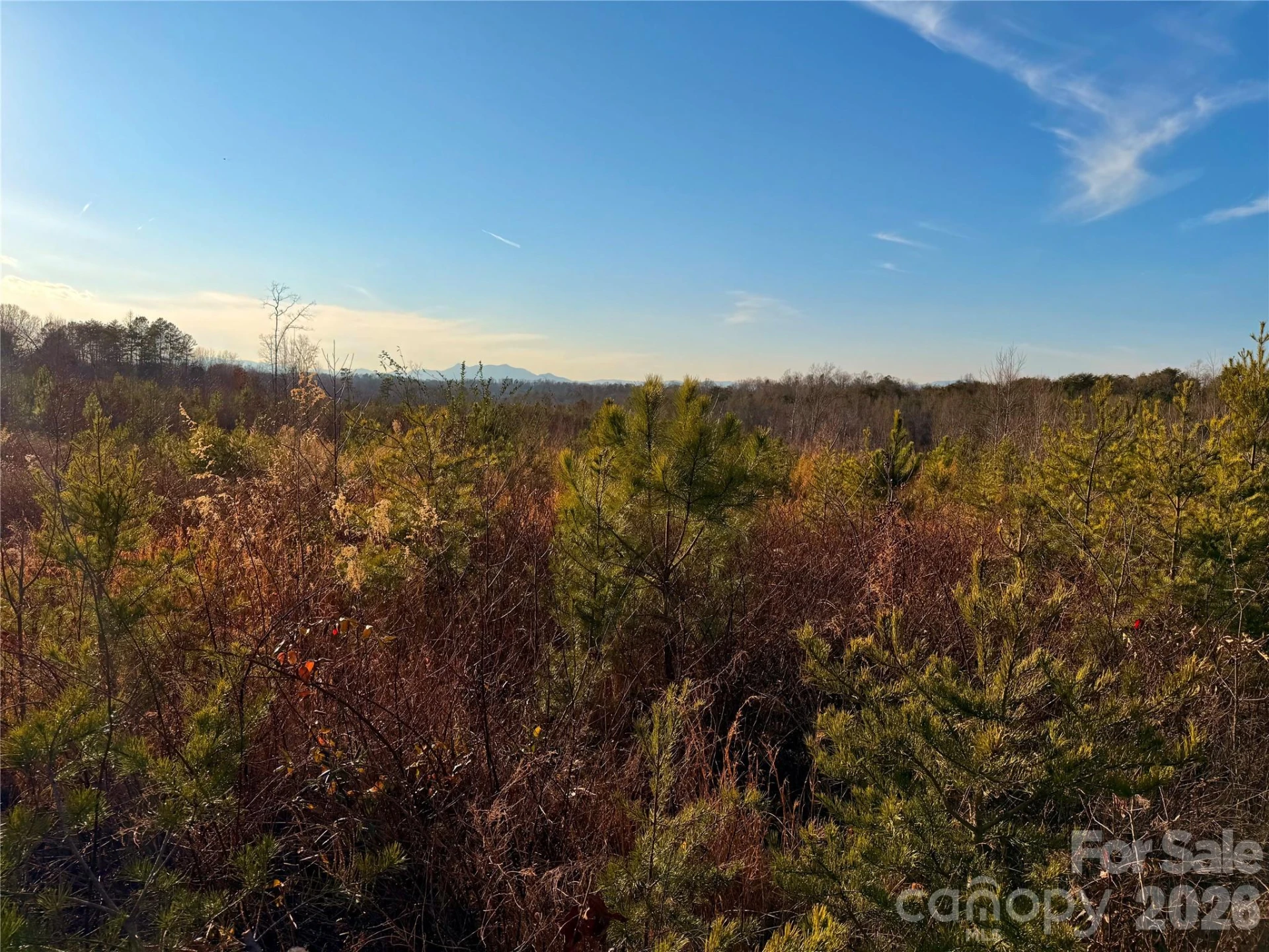 0 Brady Hampton Drive - Photo 2