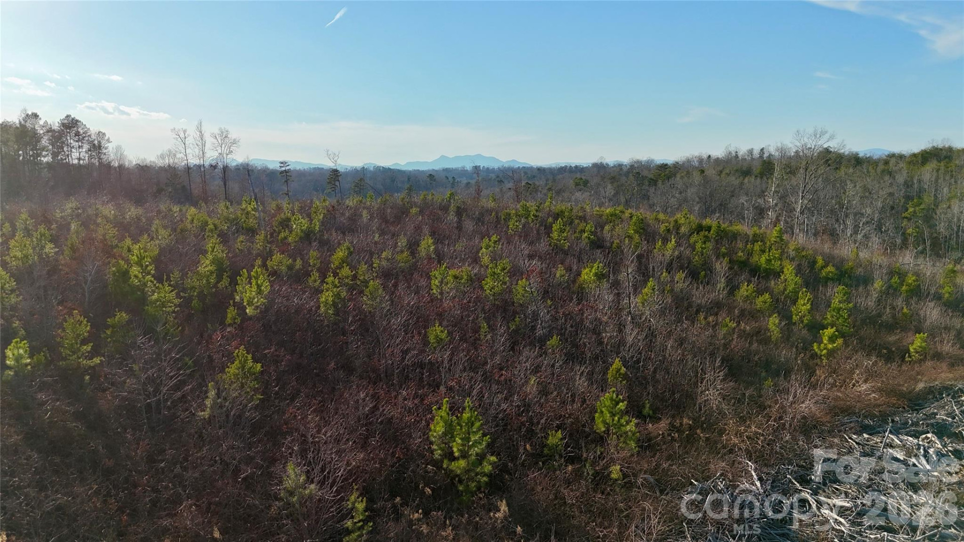 0 Brady Hampton Drive - Photo 11