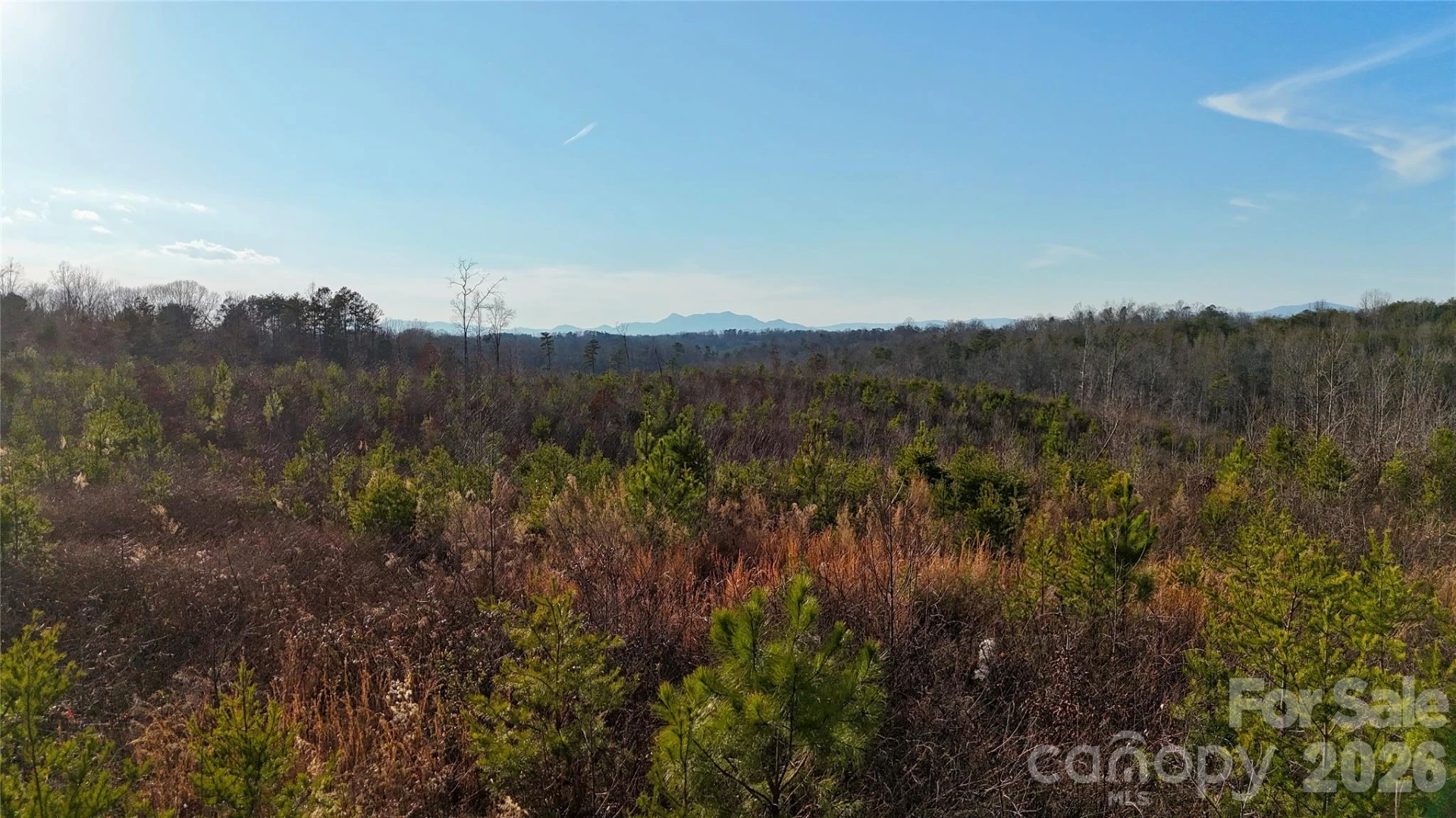 0 Brady Hampton Drive - Photo 13