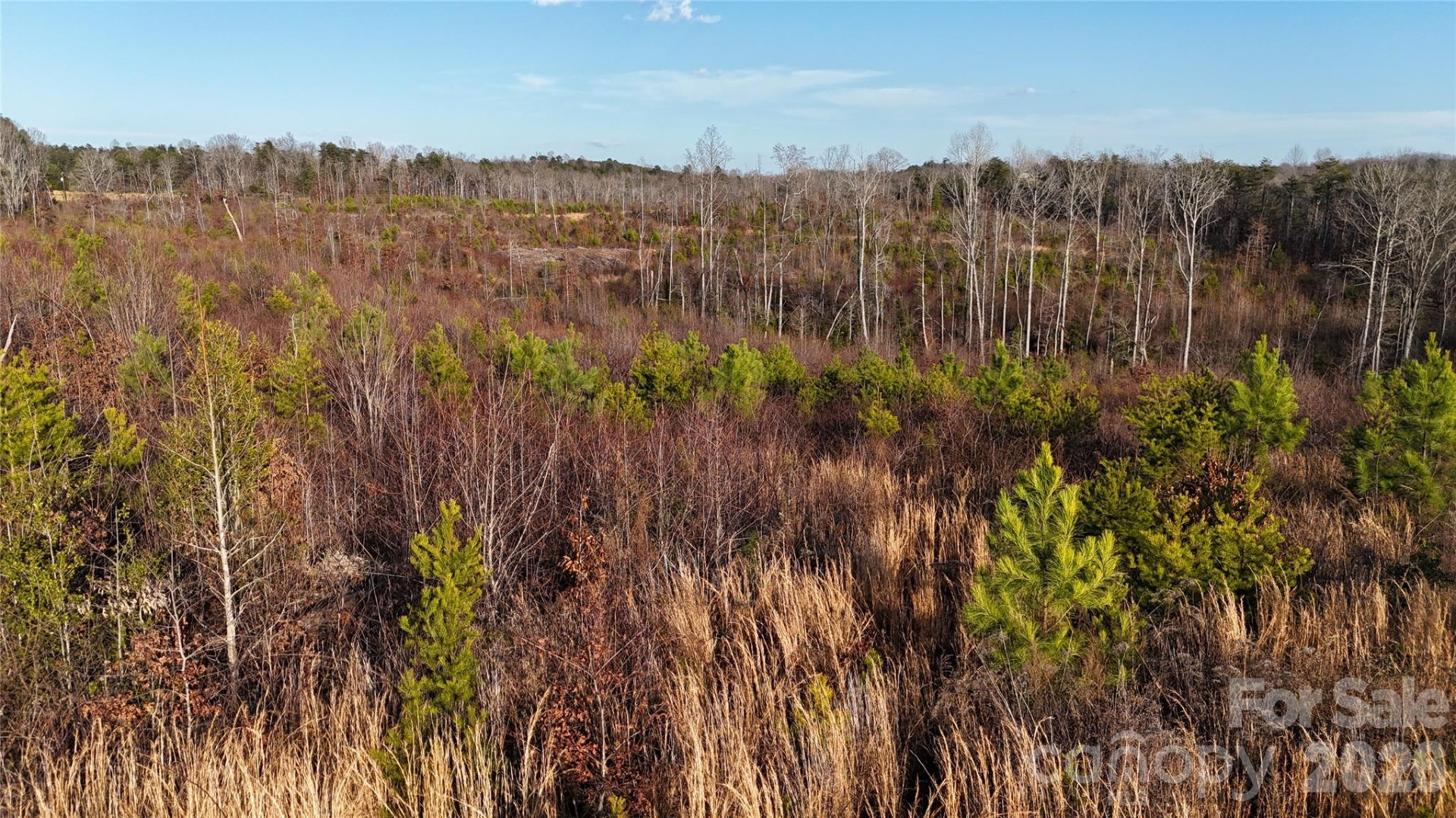 0 Brady Hampton Drive - Photo 15