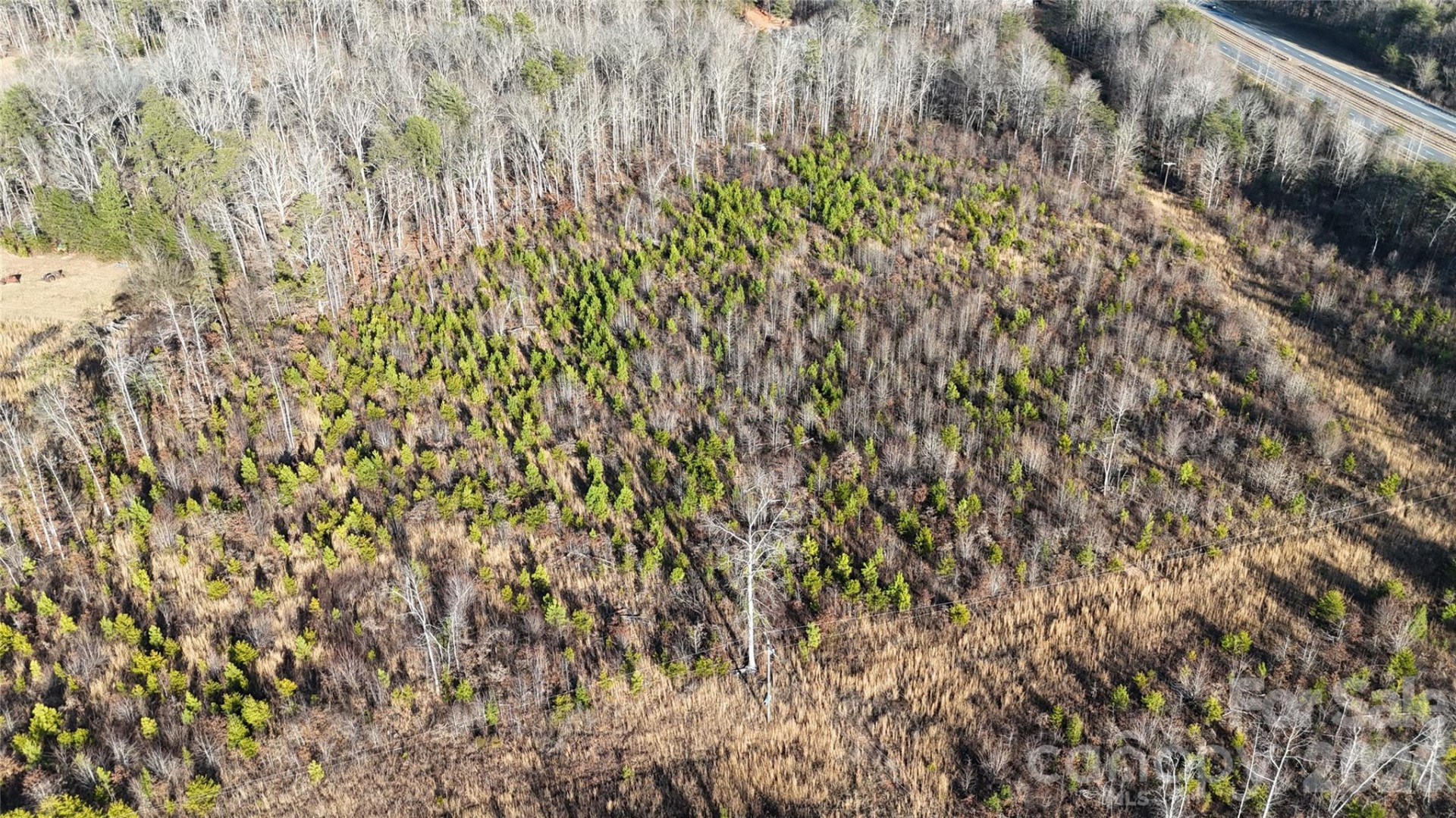 0 Brady Hampton Drive - Photo 16