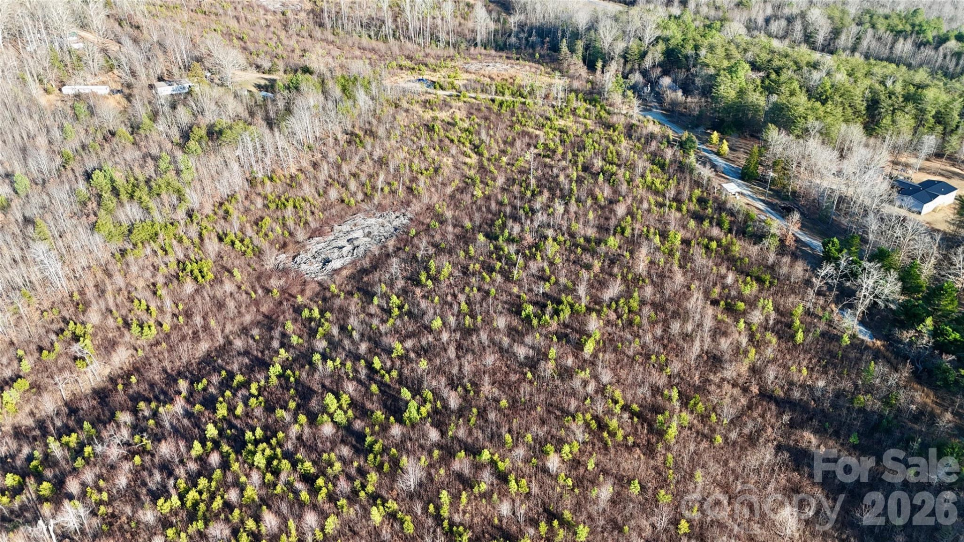 0 Brady Hampton Drive - Photo 17