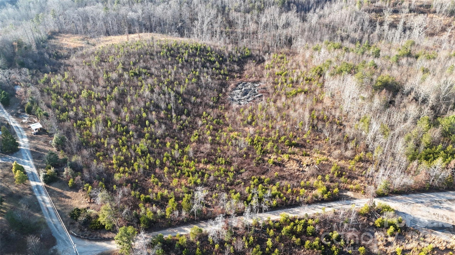 0 Brady Hampton Drive - Photo 3