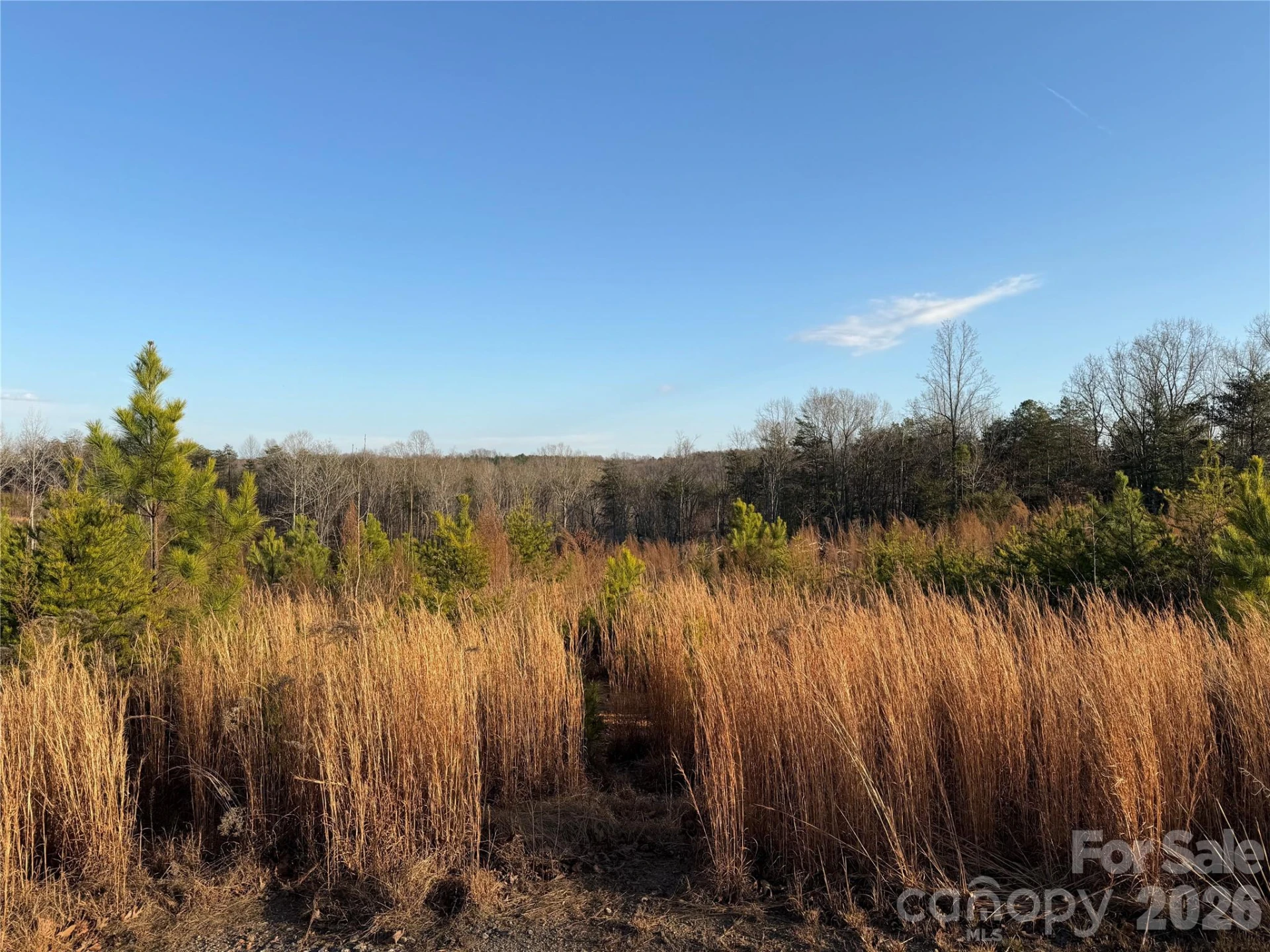 0 Brady Hampton Drive - Photo 25