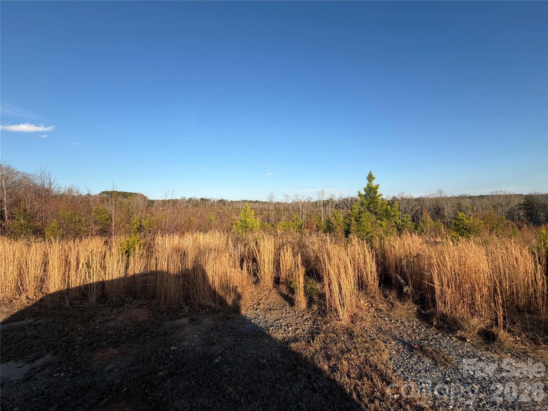 0 Brady Hampton Drive - Photo 26