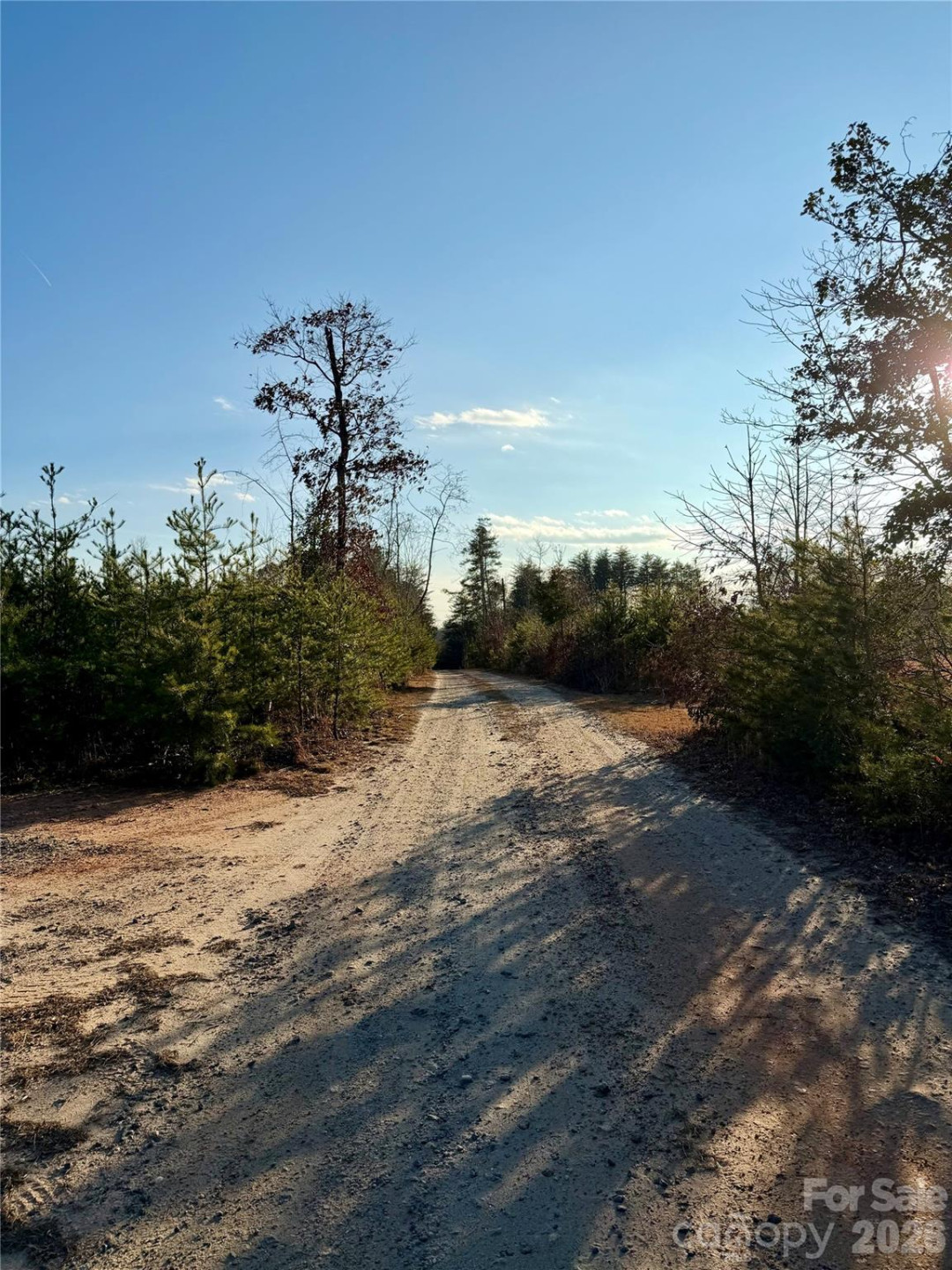 0 Brady Hampton Drive - Photo 27