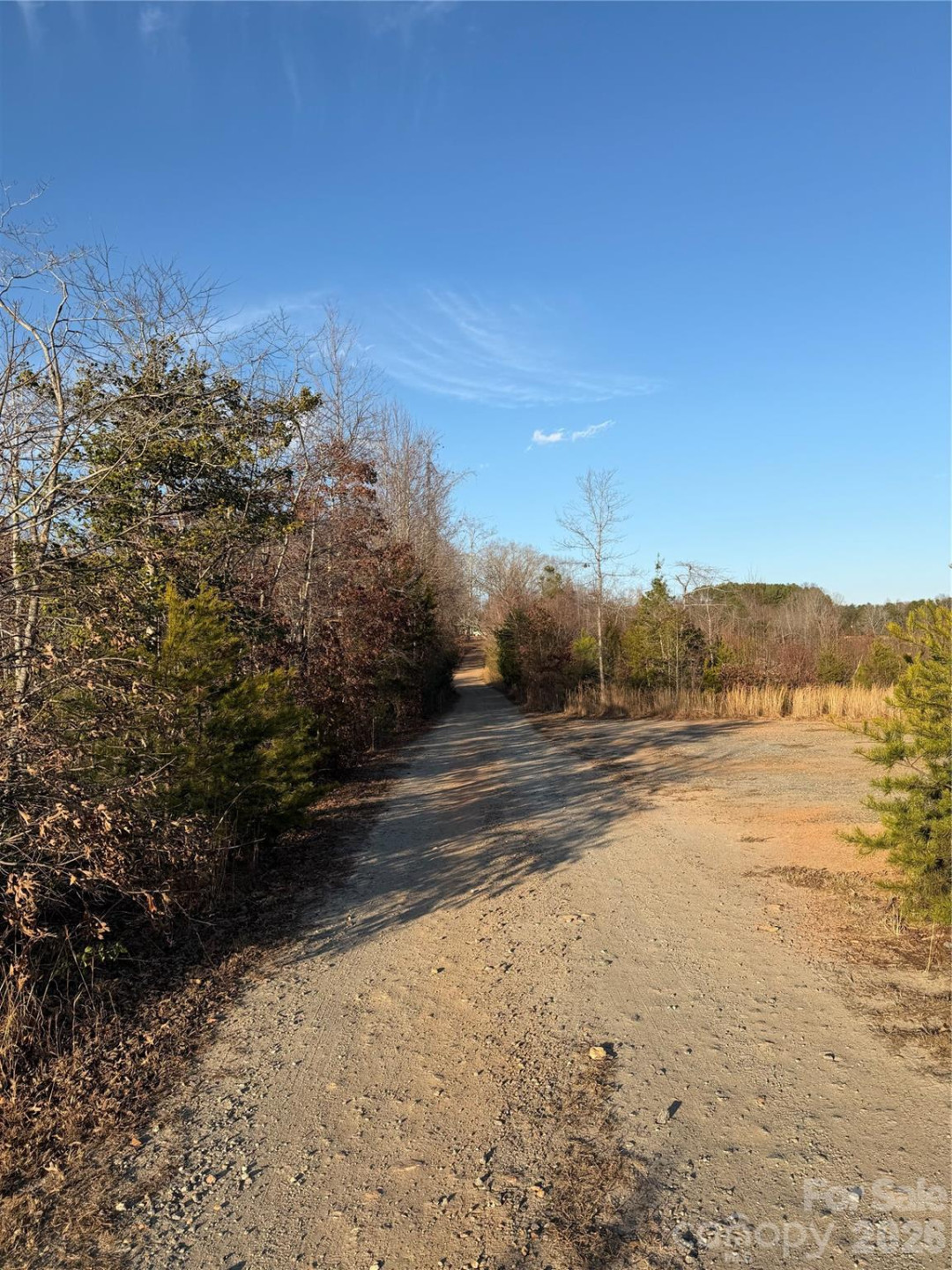 0 Brady Hampton Drive - Photo 4