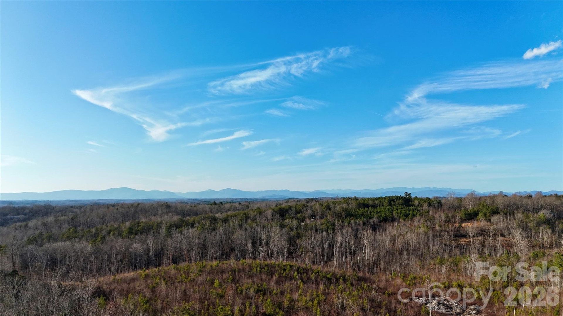 0 Brady Hampton Drive - Photo 9