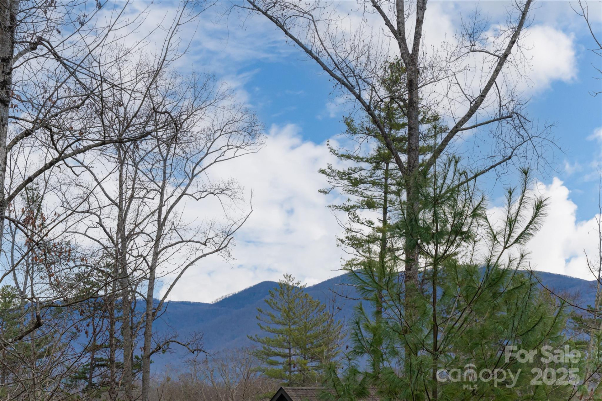 42 Towering Oaks Lane - Photo 2