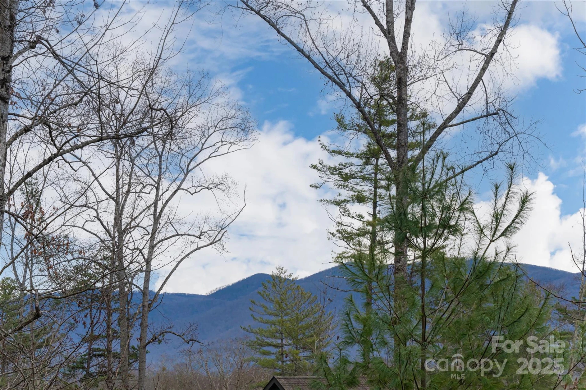 42 Towering Oaks Lane - Photo 2