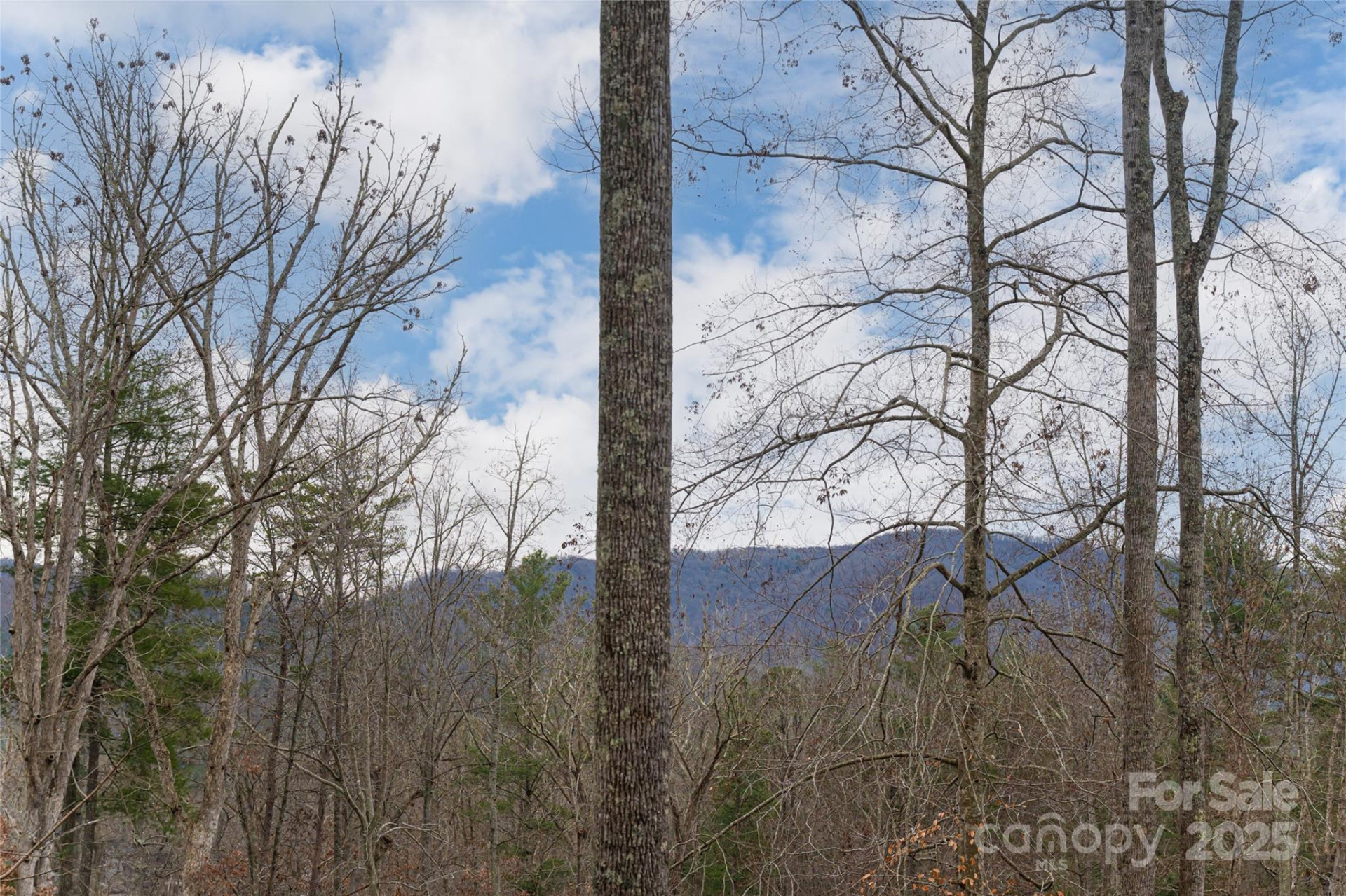 42 Towering Oaks Lane - Photo 36