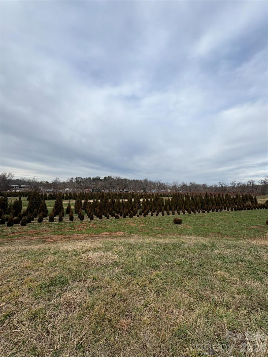 108 Ones Branch Court - Photo 3