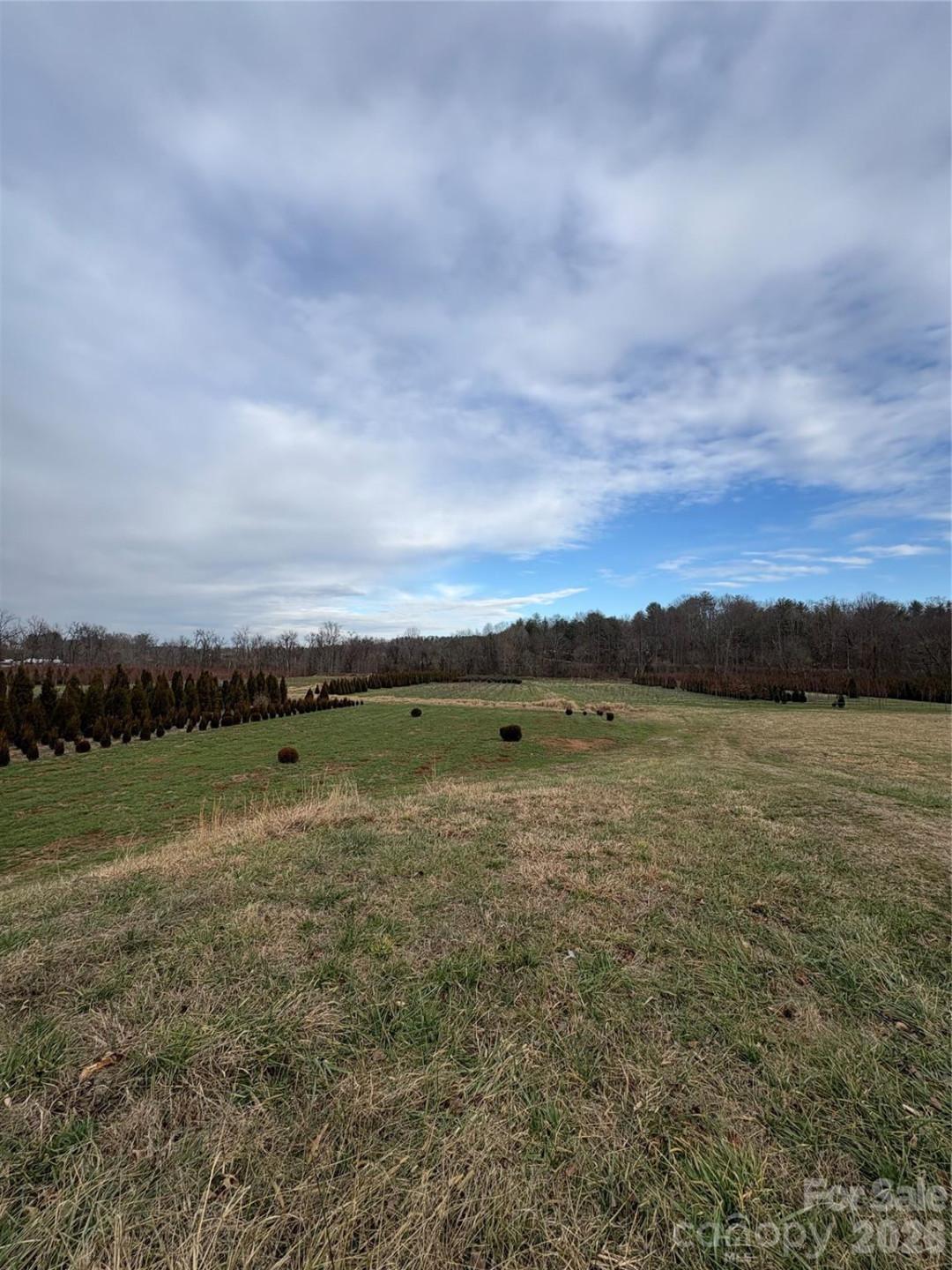 108 Ones Branch Court - Photo 4