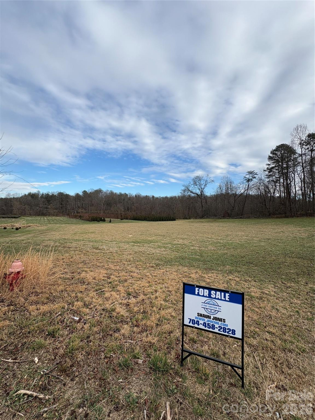 108 Ones Branch Court - Photo 5