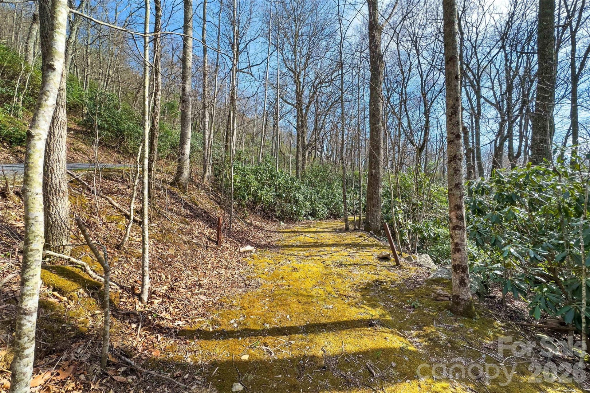 30 Red Oak Forest Road - Photo 37
