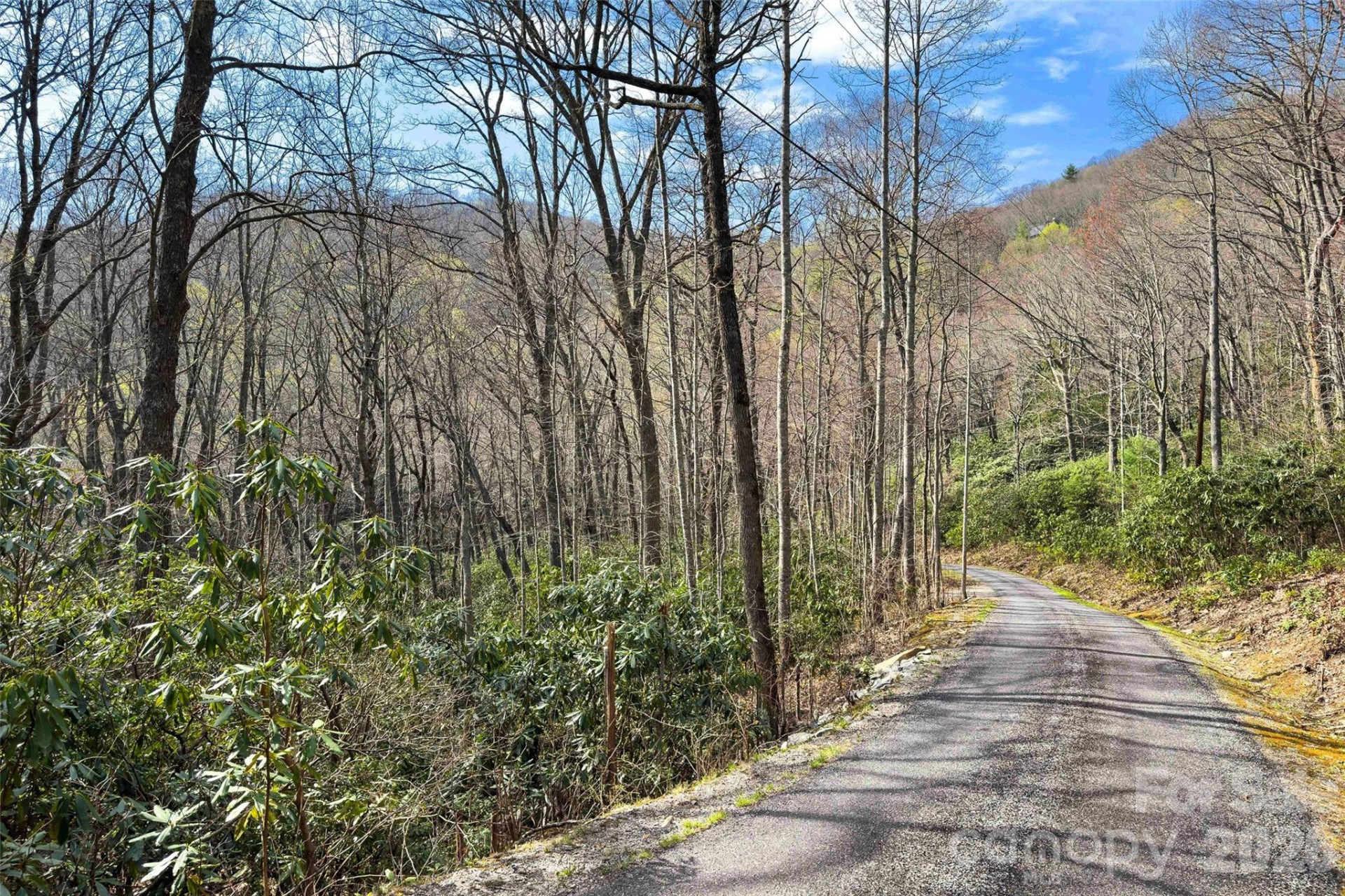 30 Red Oak Forest Road - Photo 38