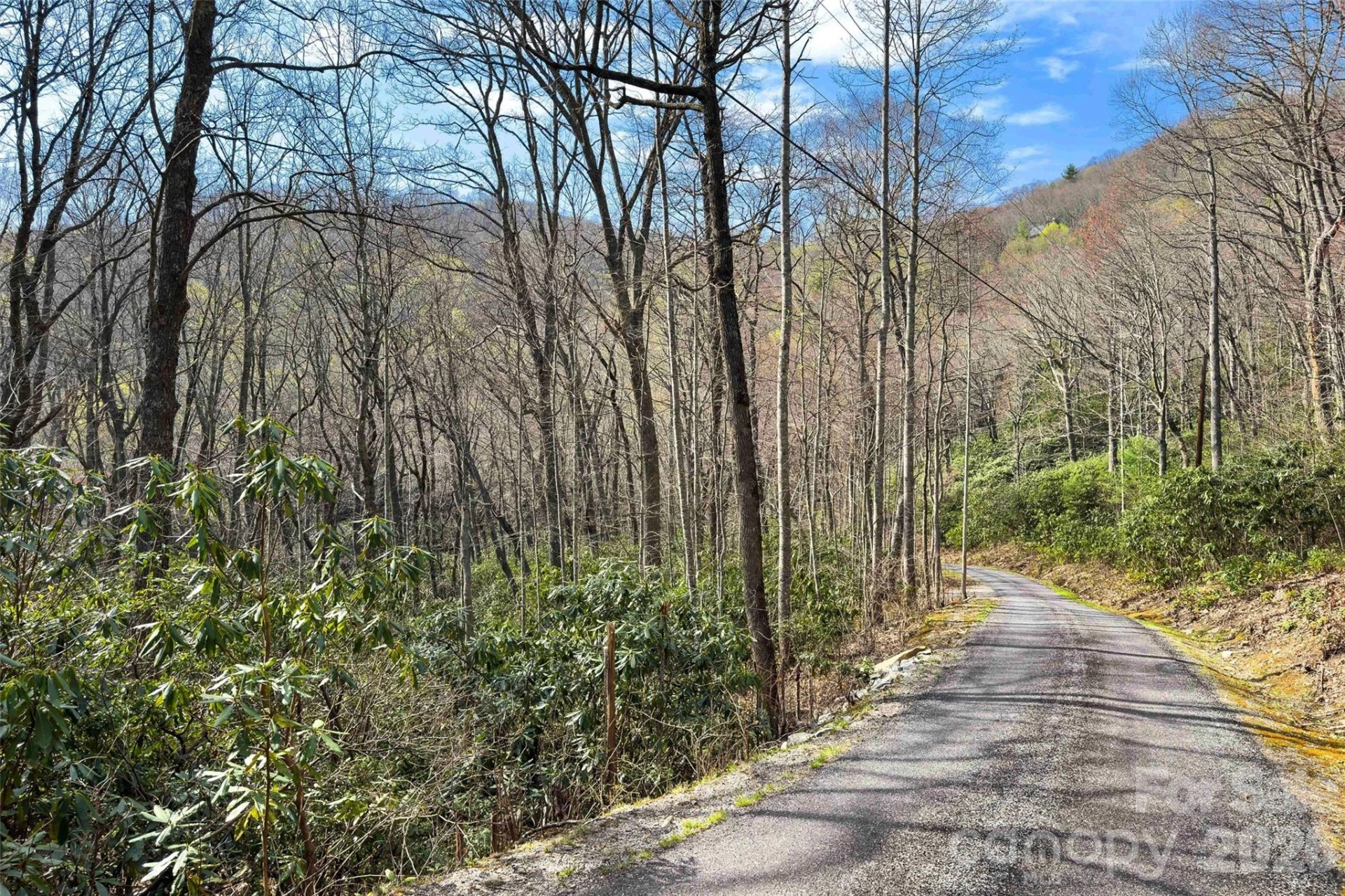 30 Red Oak Forest Road - Photo 38