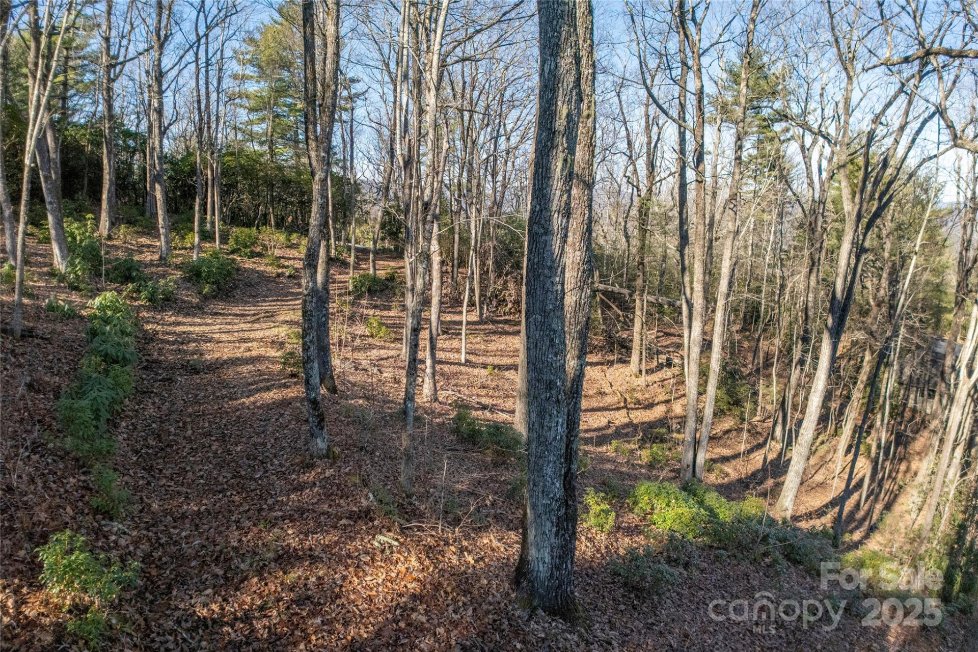 Lot 25 Lakeside Trail - Photo 2