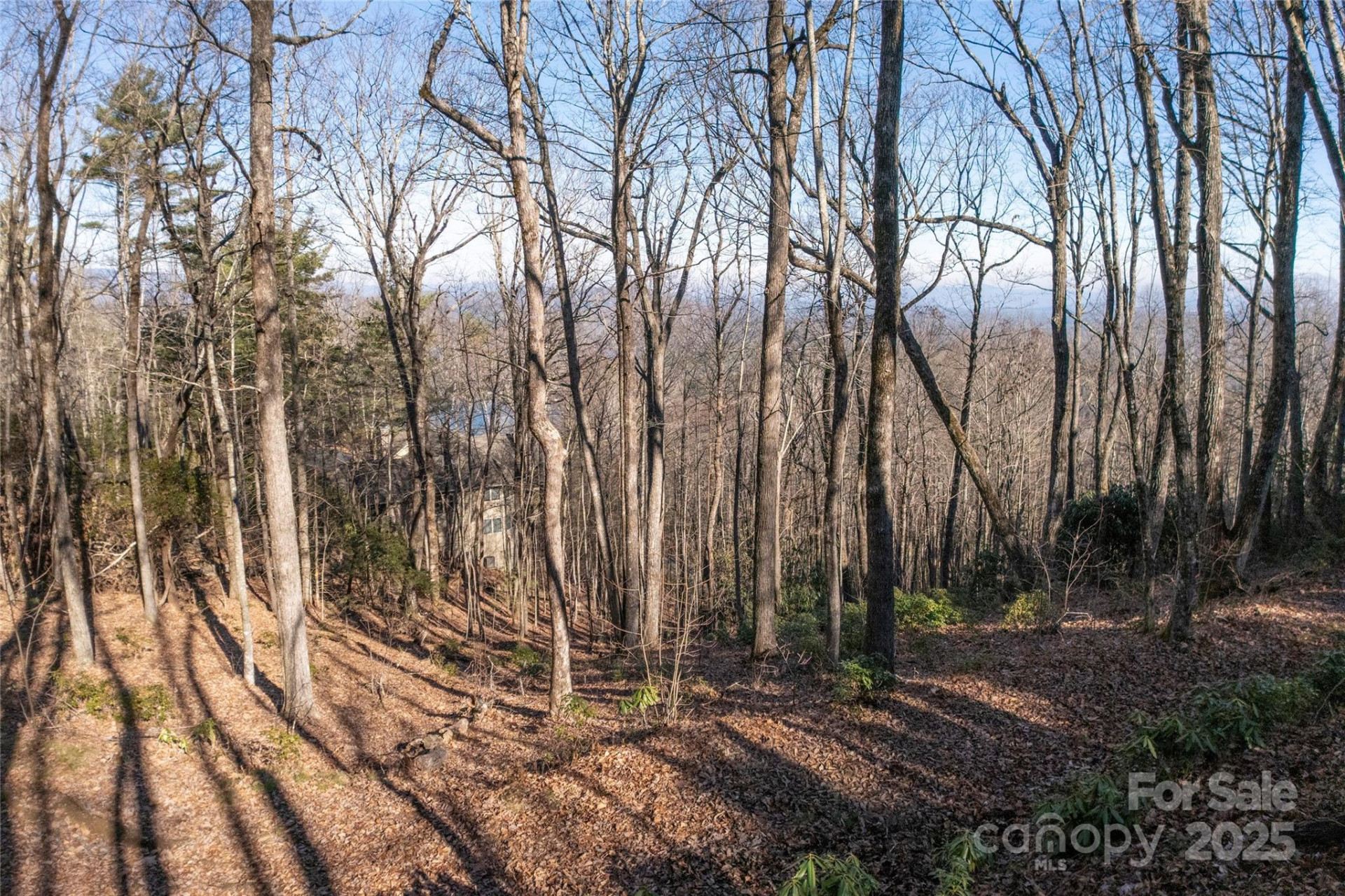 Lot 25 Lakeside Trail - Photo 7