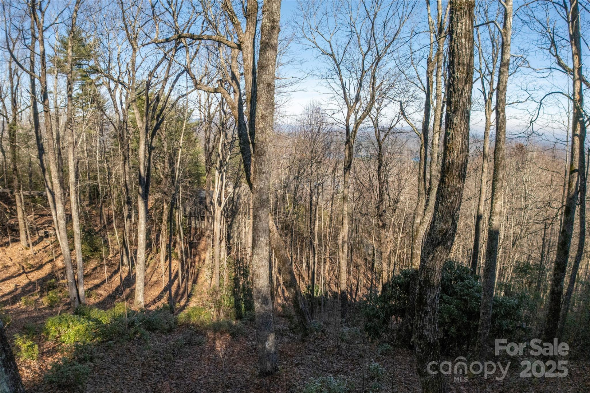 Lot 25 Lakeside Trail - Photo 8