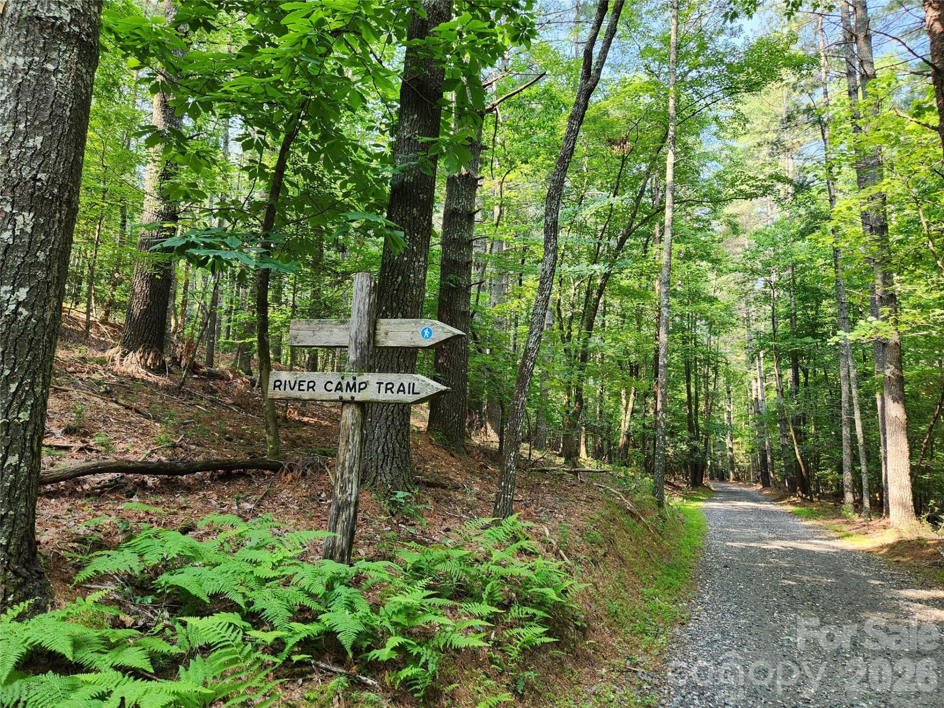 143 Nature Walk Drive - Photo 48