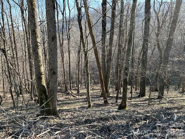 0000 Trillium Lane, Mars Hill, NC, 28754