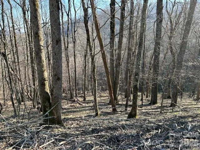 0000 Trillium Lane, Mars Hill, NC, 28754