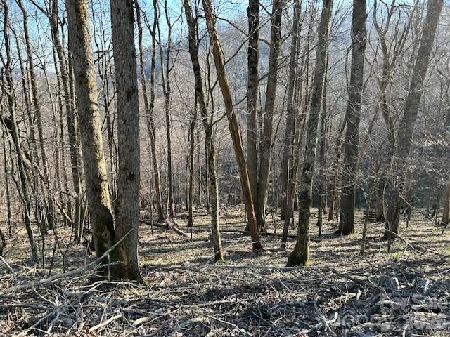 0000 Trillium Lane