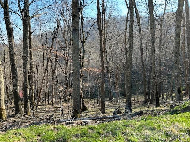 0000 Trillium Lane - Photo 2