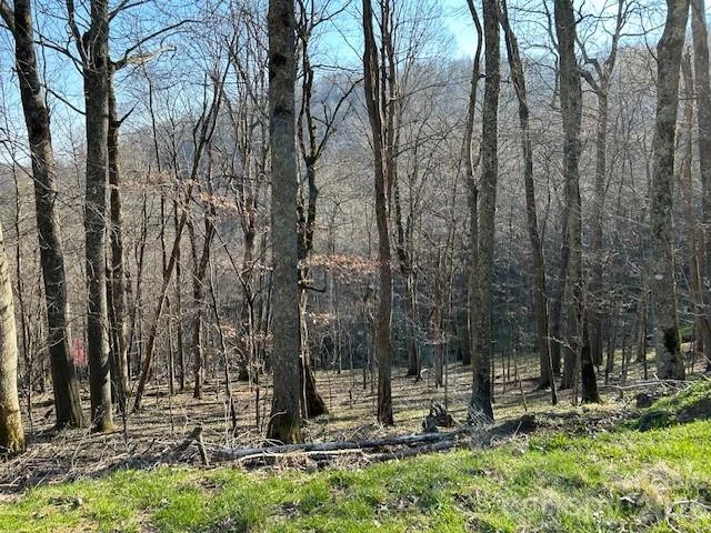 0000 Trillium Lane - Photo 2