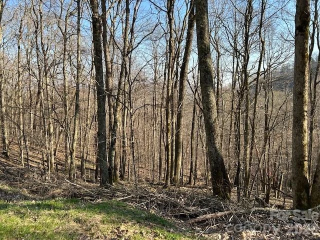 0000 Trillium Lane - Photo 3