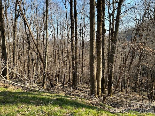 0000 Trillium Lane - Photo 4