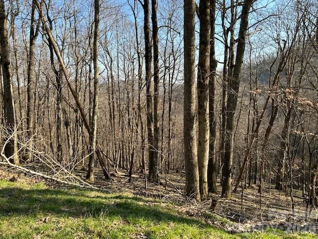 0000 Trillium Lane - Photo 4