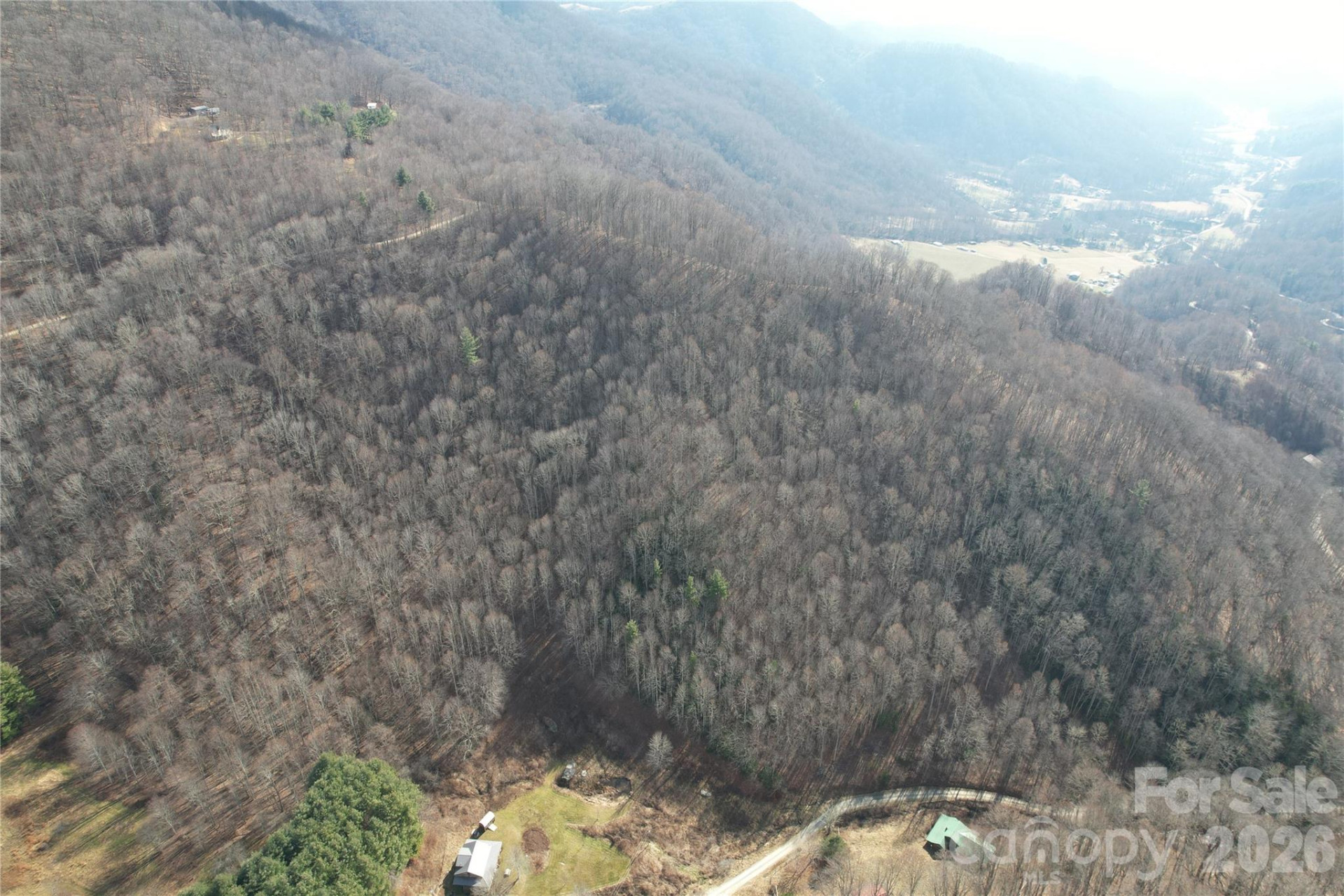 00 Mule Stomp Road - Photo 2