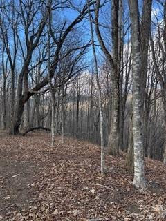 00 Mule Stomp Road - Photo 11