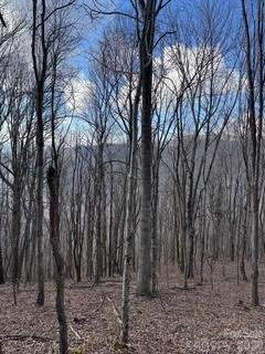 00 Mule Stomp Road - Photo 12