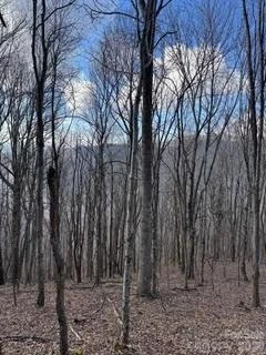 00 Mule Stomp Road - Photo 12