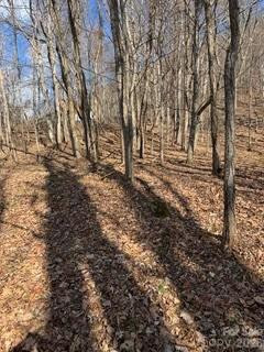 00 Mule Stomp Road - Photo 13