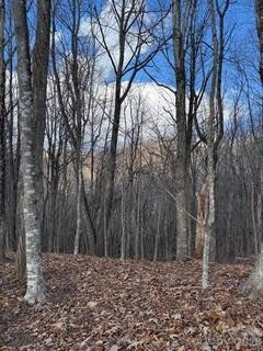 00 Mule Stomp Road - Photo 15