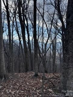 00 Mule Stomp Road - Photo 16