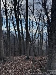 00 Mule Stomp Road - Photo 16