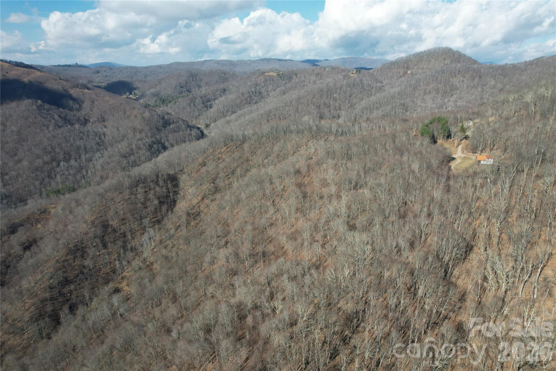 00 Mule Stomp Road - Photo 3