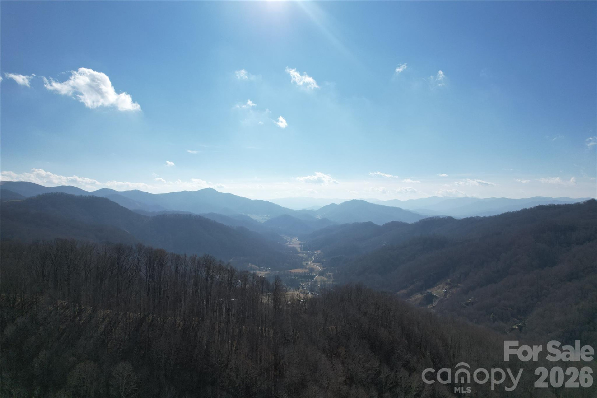 00 Mule Stomp Road - Photo 4