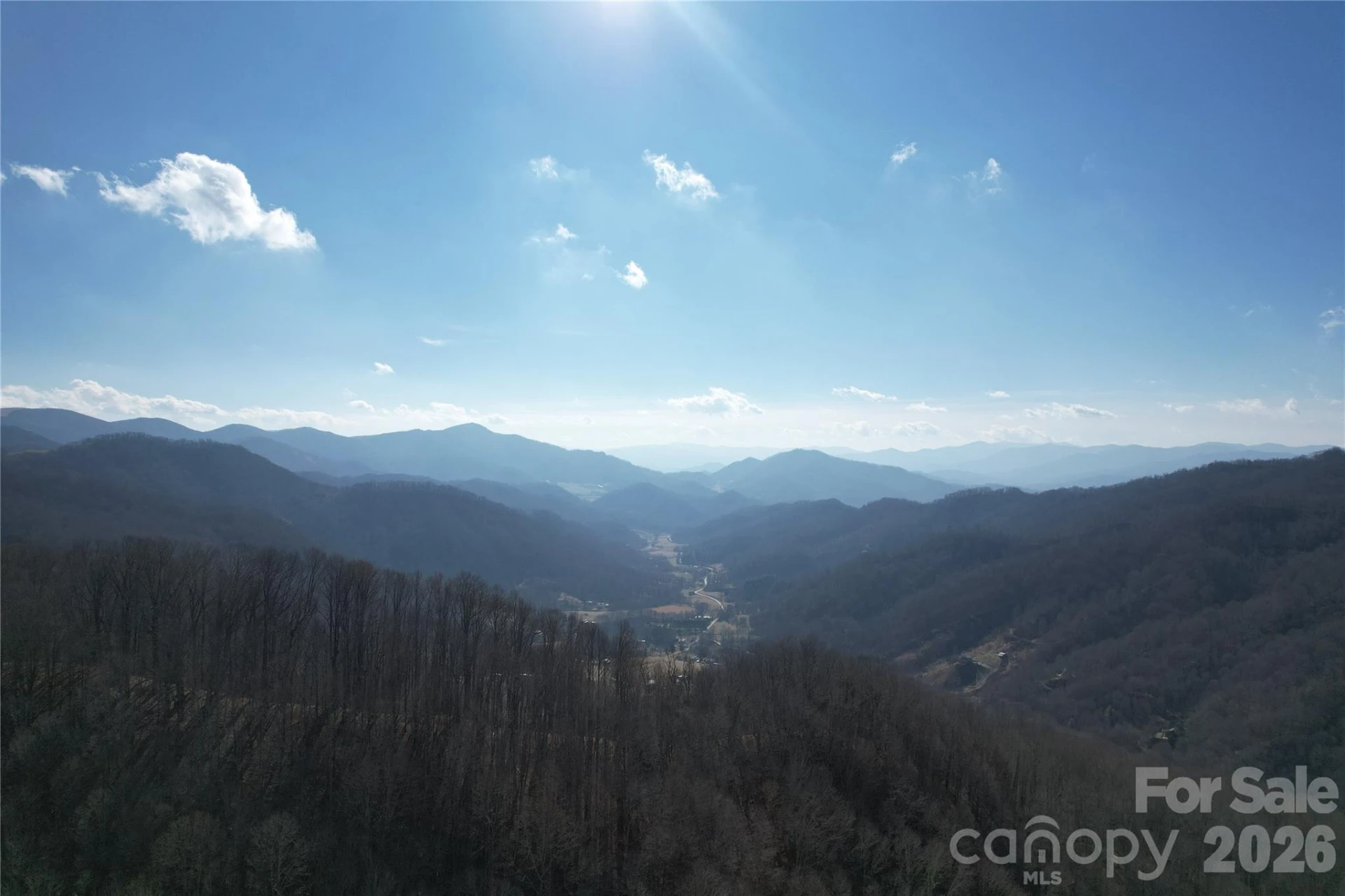 00 Mule Stomp Road - Photo 4