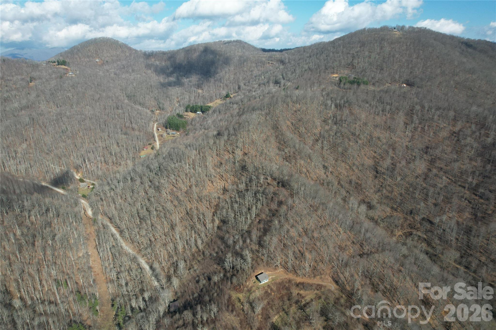 00 Mule Stomp Road - Photo 5