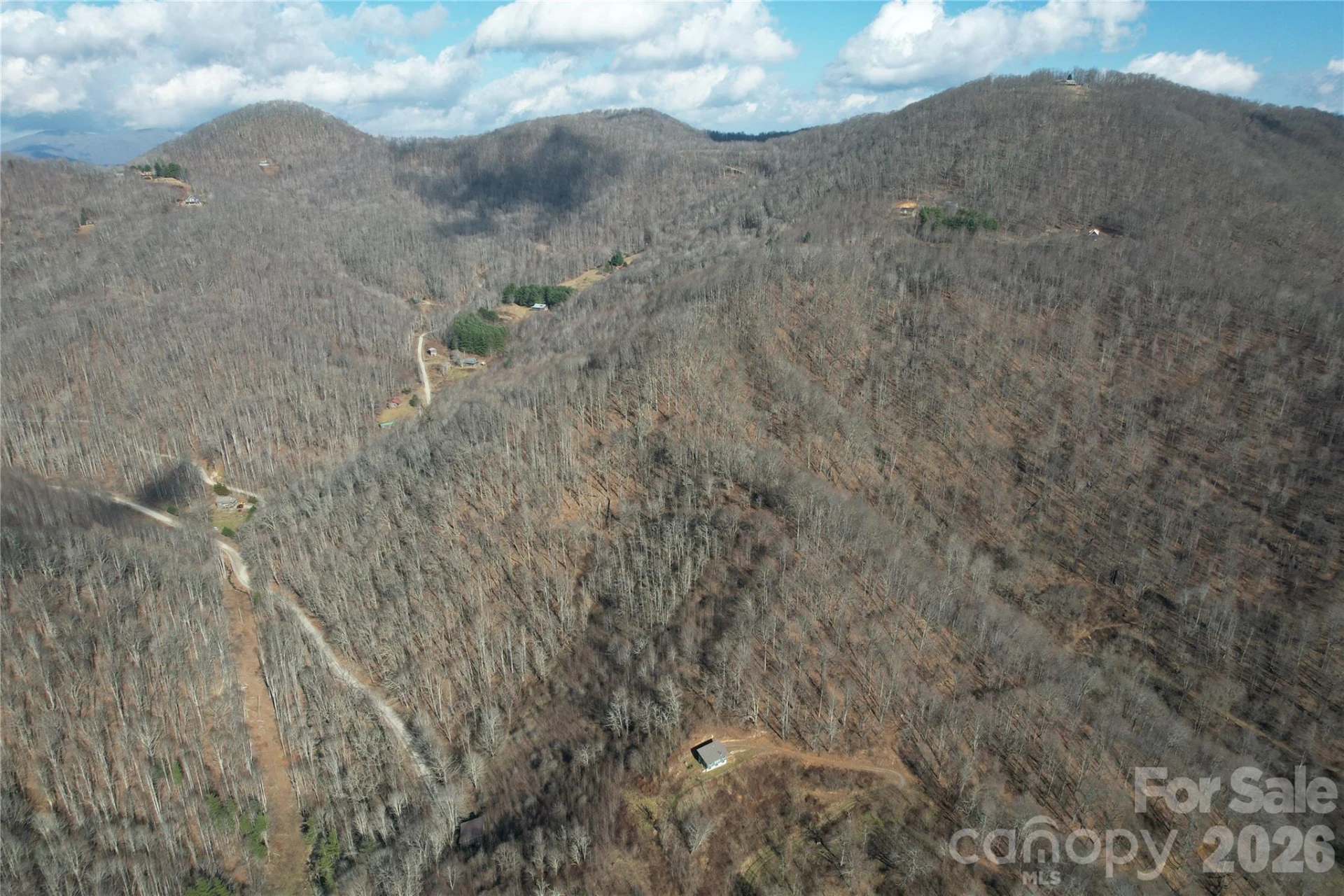 00 Mule Stomp Road - Photo 5